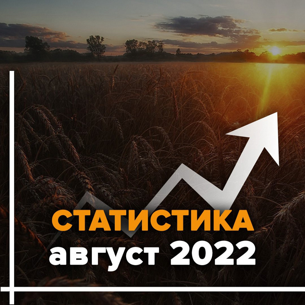 Статистика поиска за август. Ивановская область