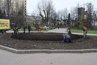 Тюльпанное Иваново готовят уже сейчас (ФОТО)