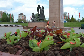 В Иванове зацветут 58 клумб