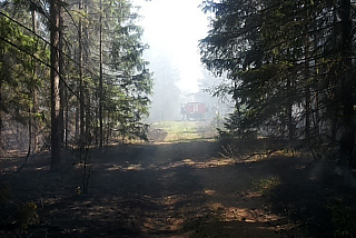 Только справились с одним очагом возгорания в Южском районе, как обнаружили новый лесной пожар