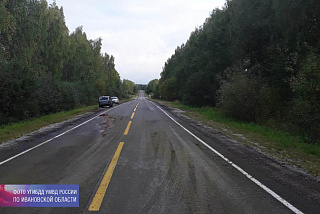 В Палехском районе автомобиль наехал на лося, а потом легковушку отбросило на дерево (ФОТО)