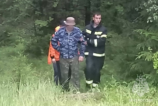 В Ивановской области с начала года поступило 46 заявок на поиск заблудившихся в лесу