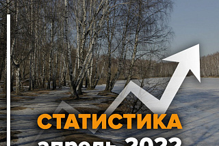 В апреле в Ивановской области 23 поиска завершились долгожданным «найден, жив»