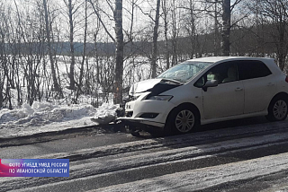 Легковушка автомобилистки в Ивановском районе влетела в дерево (ФОТО)
